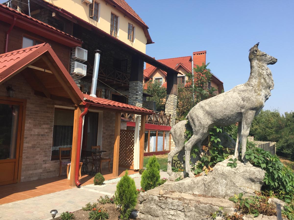 Guesthouse Grand Canyon Kamjanets-Podilskyj Exteriör bild